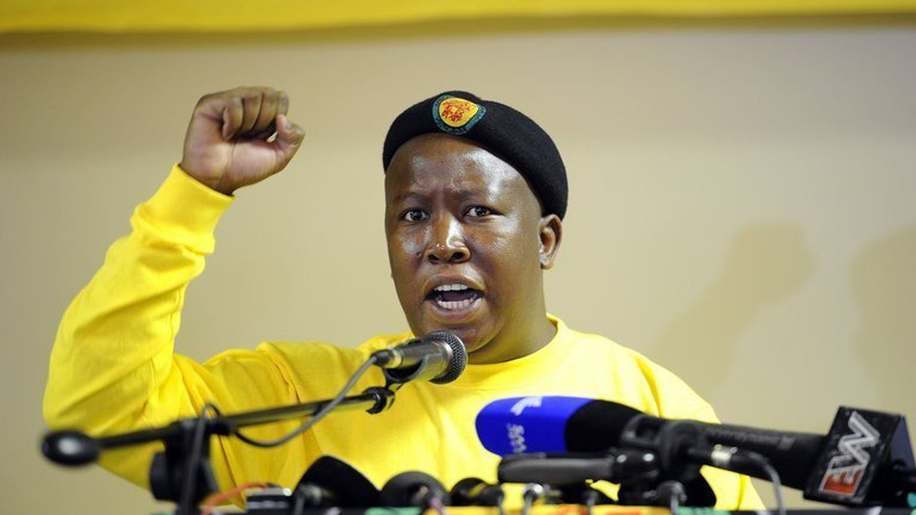 Then ANC (African National Congress) Youth League leader Julius Malema delivers a speech during a meeting in Pretoria on February 10, 2012. Malema's provincial home was sold for $150,000 (115,000 euros) at a forced auction Tuesday to recoup his unpaid taxes.