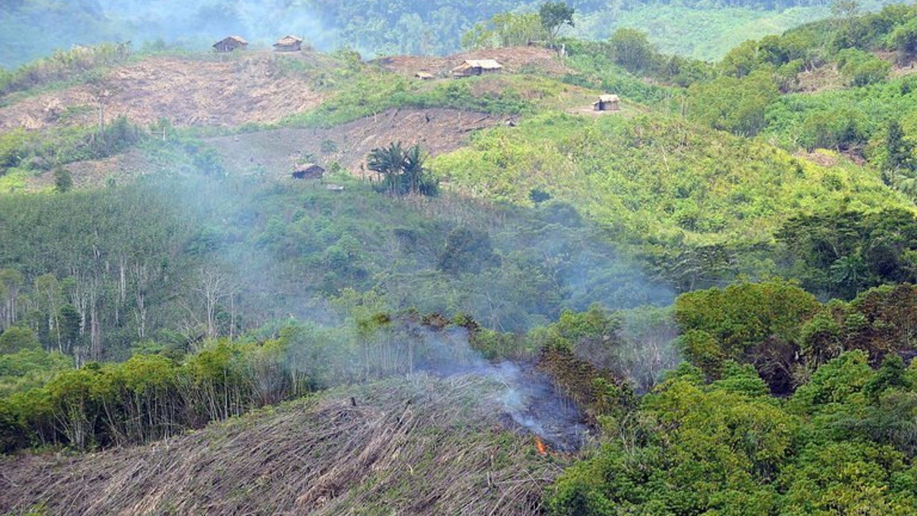 An area of forest being is burned down in the village of Ned near Blit in the Philippines on August 9, 2009. The United States will help preserve the Philippines' rapidly vanishing tropical rainforests under a $31.8-million debt-to-aid conversion signed in Manila, the two governments said.