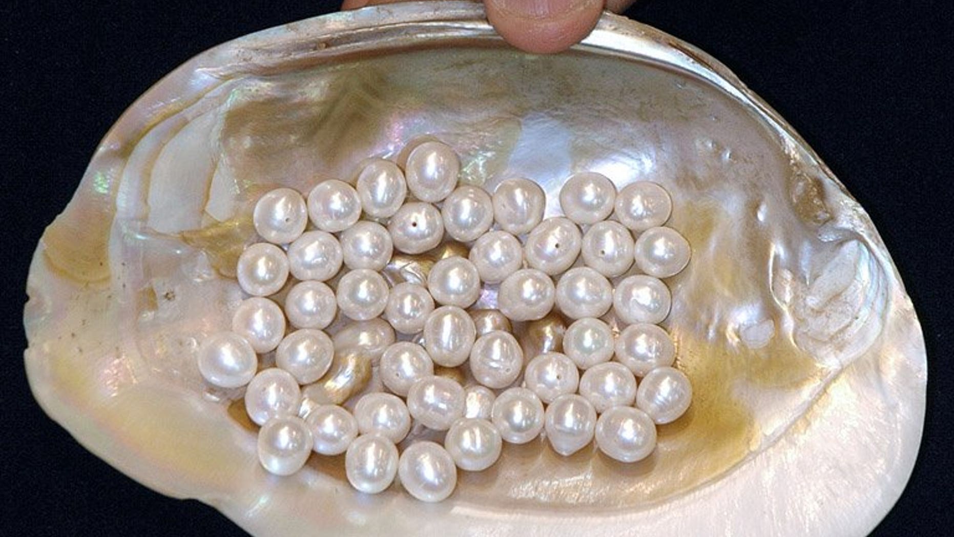 A Japanese pearling ship which has lain on the ocean floor off northern Australia for more than 70 years will be protected for its historical significance, the government said Sunday. The Sanyo Maru, the only known wreck of a Japanese pearling mothership in Australian waters, will be enclosed within a 200-hectare protected zone, Environment and Heritage Minister Mark Butler said.