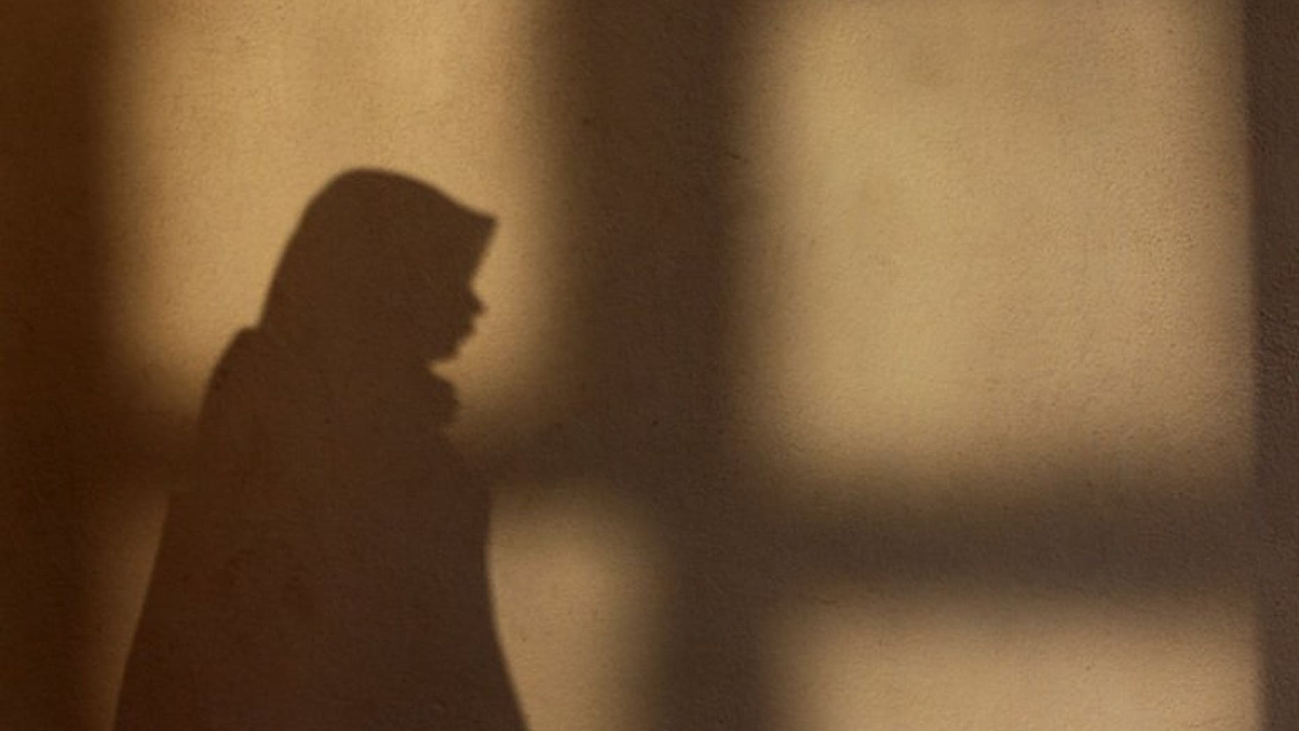 The shadow of a Malaysian woman as she prays during Eid al-Fitr at a mosque in Kuala Lumpur, on August 19, 2012. Malaysian police have arrested a woman who angered Muslims by posting a video greeting for the Eid al-Fitr holiday that featured her dogs, her lawyer said.