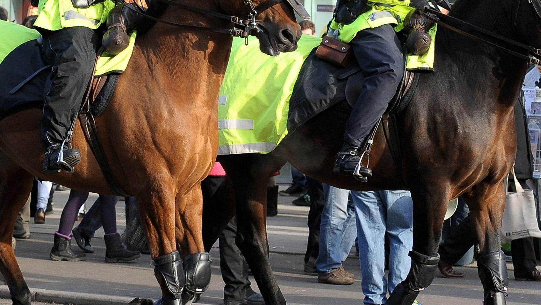 Illustration: a steward at a League Cup tie between Preston and Blackpool was hospitalised after being trampled by a police horse during a post-match pitch invasion.