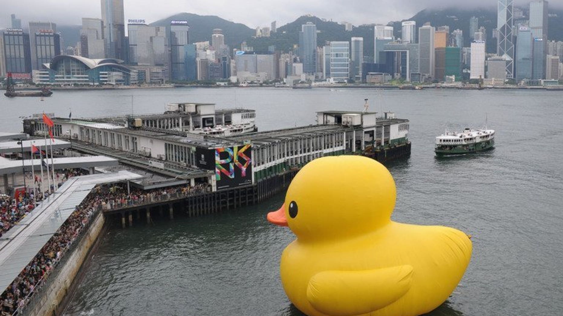 Thousands of people crowd the waterfront to see a giant duck conceived by Dutch artist Florentijn Hofman, in Hong Kong on June 9, 2013. Taiwan's second largest city has announced plans to display a larger version of the giant inflatable yellow duck that captivated Hong Kong -- upstaging similar plans by another city on the island.
