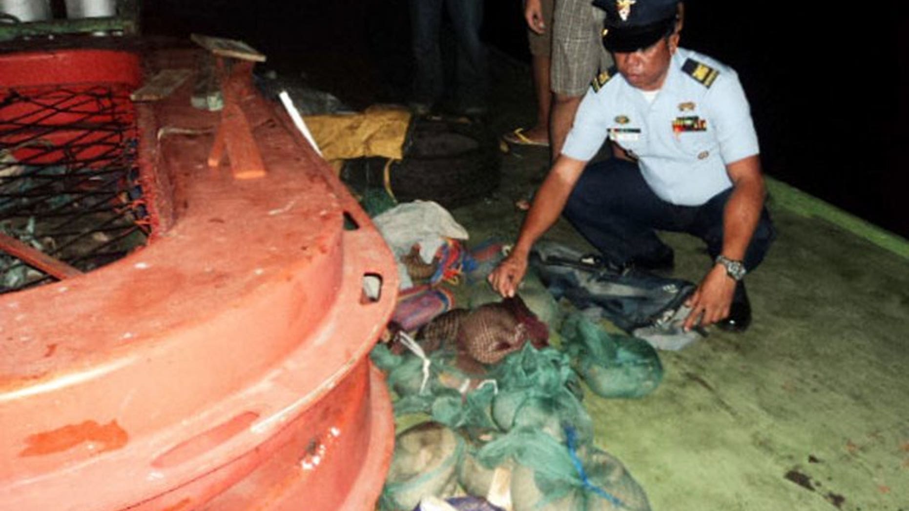 A Philippine Coast Guard inspects pangolins wrapped in plastic bags that were found hidden on a boat in Coron, on April 23, 2013. Vietnamese customs officials say they have found more than six tonnes of live protected pangolins inside a shipping container sent from Indonesia.