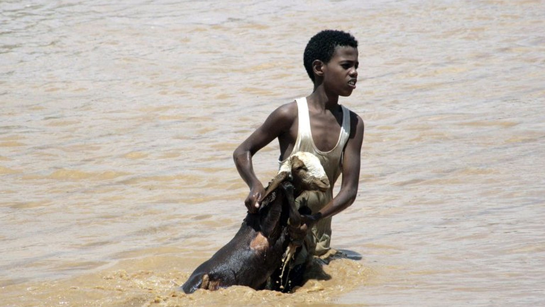 A boy holds a goat out of flood waters as he makes his way to higher land on August 3 in Khartoum. More flooding is expected in Sudan, the country's chief weather forecaster warned on Thursday, after severe rains have killed 53 people and affected about 200,000.