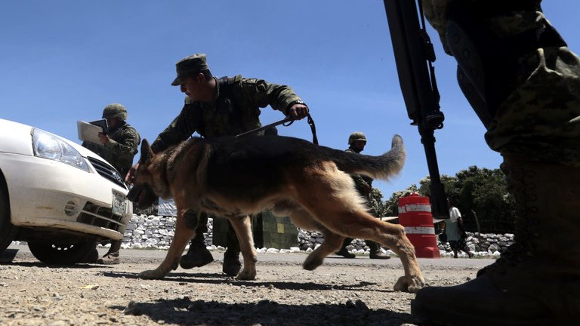 A member of the Mexican Army inspects a vehicle at a checkpoint on the road to Tlacotepec in Eduardo Neri municipality, Mexico, on August 2, 2013. The Mexican government announced Saturday that Mario Ramirez Trevino, leader of the Gulf drug cartel in the north of the country, and wanted in the United States, had been arrested.
