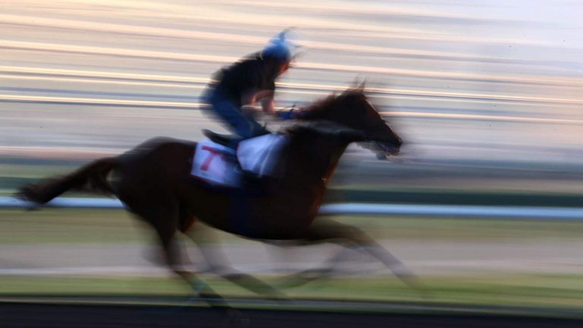 This file illustration photo shows a jockey riding a horse during a training session, on March 28, 2013. A 25-year-old New Zealand man died after falling from his horse during horse trials in northern England on Sunday, according to Equestrian Sports New Zealand (ESNZ).