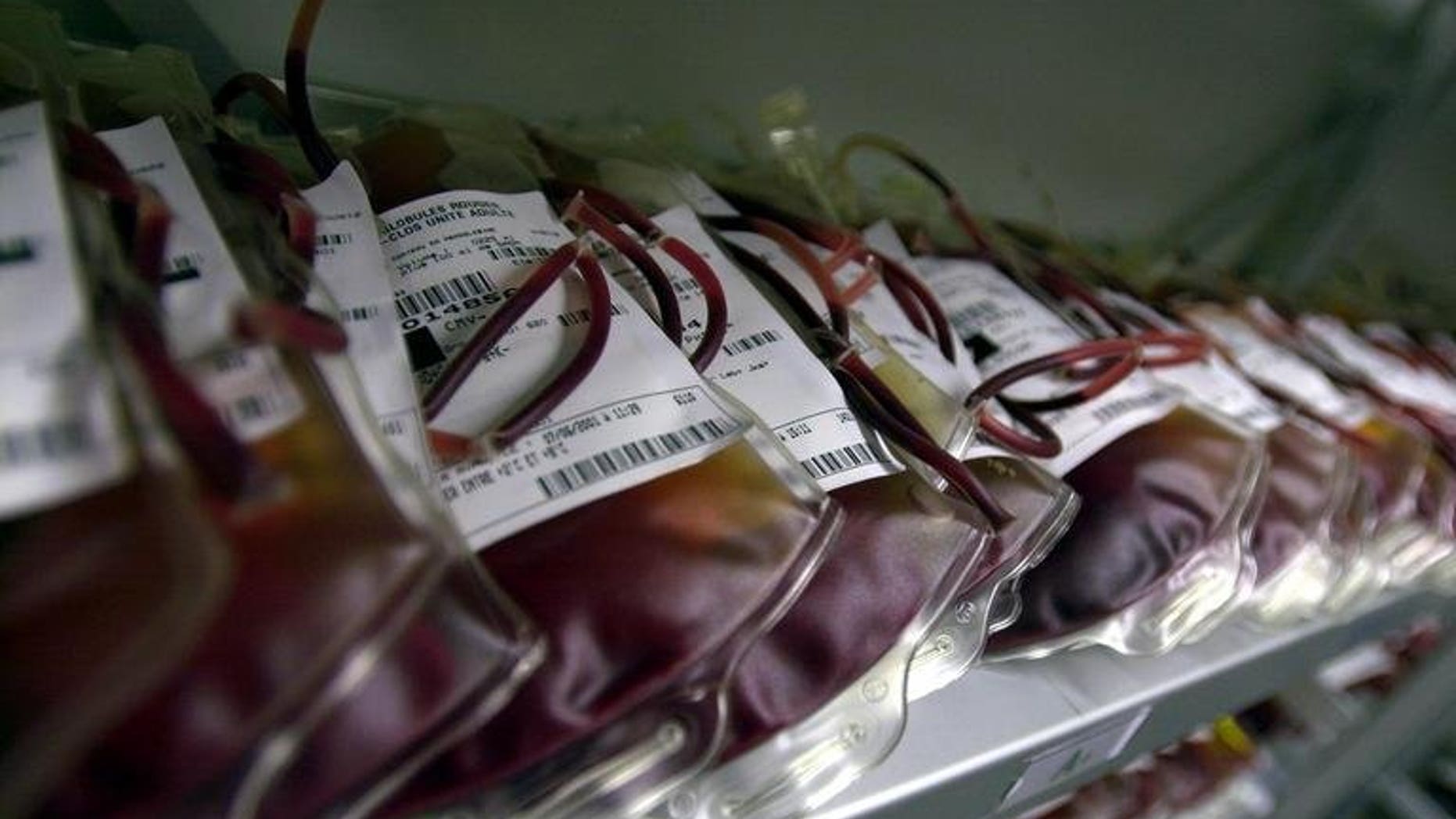 Illustration. Traditional animal rivalries were set aside in New Zealand when a dog's blood was used to save the life of a poisoned cat in a rare inter-species transfusion, reports said Wednesday.
