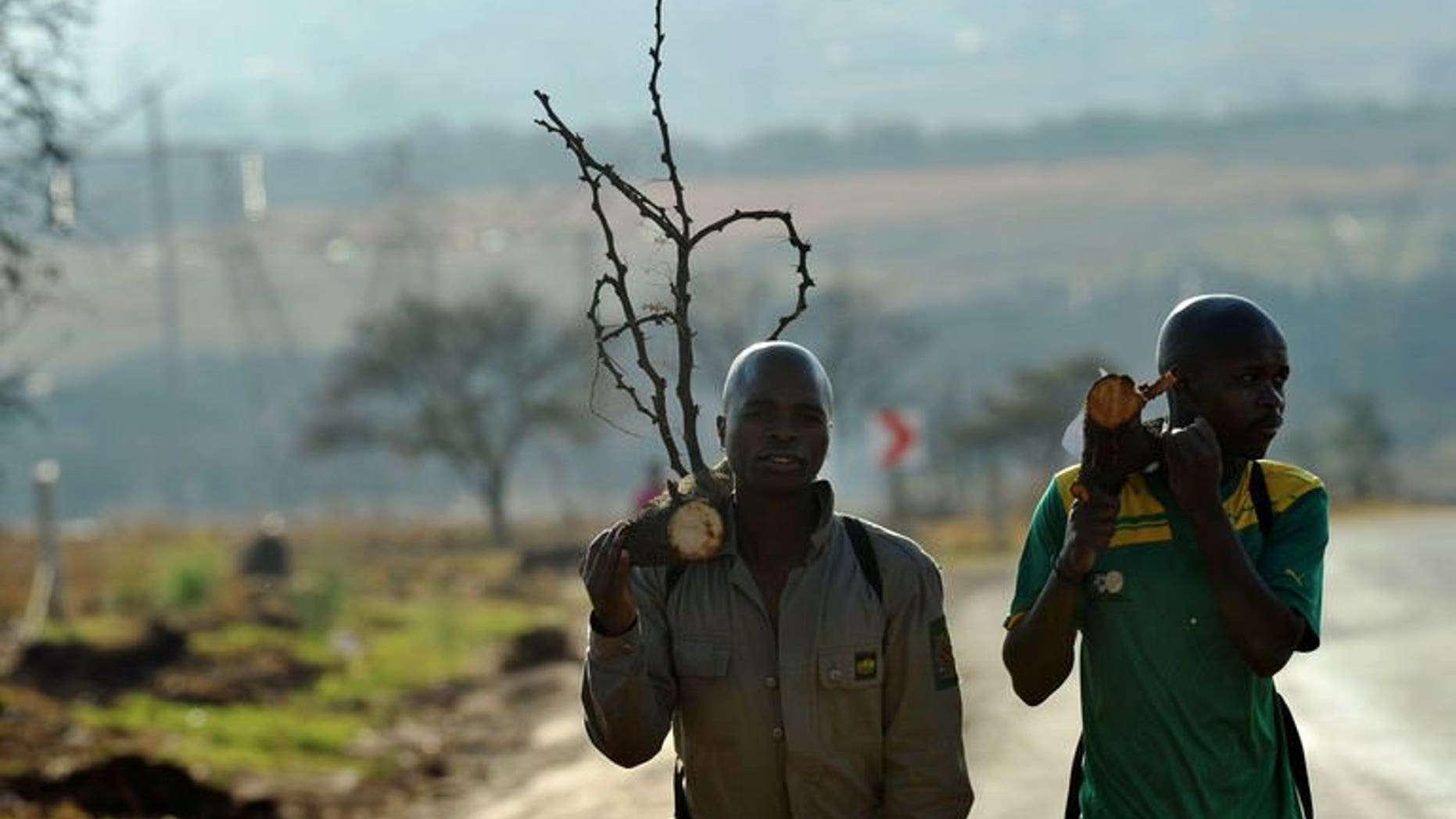 South African mine workers walk home with fire wood in Carletonville on September 3, 2013. A gold miners' strike has ended after workers at Harmony Gold accepted a final wage offer, the country's second-largest producer of the precious metal has said.