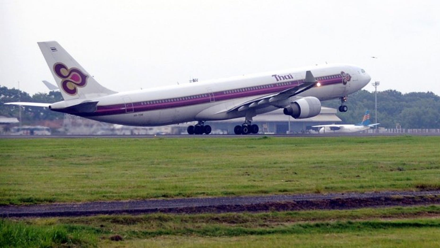 A Thai Airways plane prepares to take off at Ngurah Rai airport in Denpasar on January 27, 2010. On Monday one of the airline's planes skidded off the runway at Bangkok Airport.