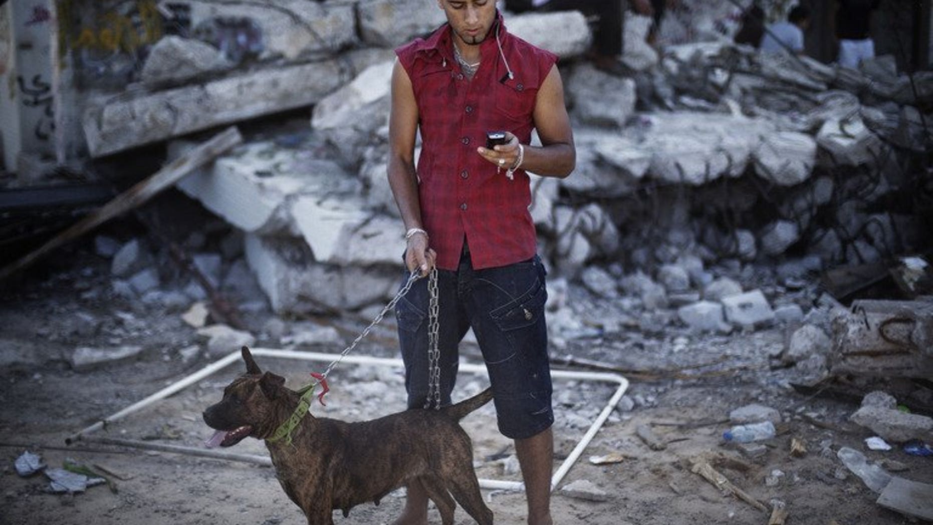 A Libyan man looks at his mobile phone in Tripoli on October 28, 2011. Libya will launch a tender in 2014 for the award of the country's first private mobile phone licence, Communications Minister Usama Siala.