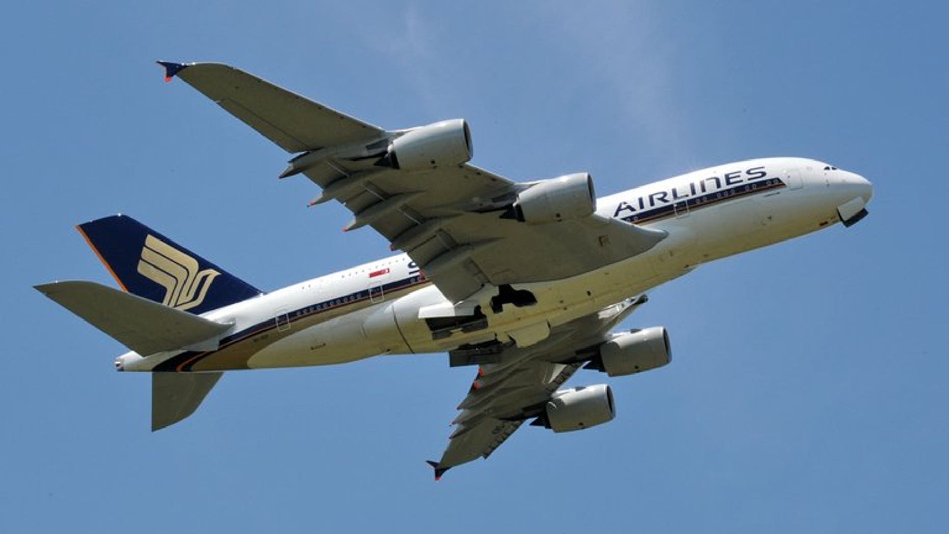 A Singapore Airlines plane takes off from Changi airport in Singapore on May 9, 2012. Singapore Airlines and India's Tata conglomerate are to establish a new full-service carrier to be based in New Delhi.