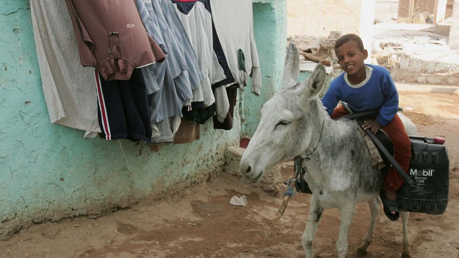 An Egyptian boy on a donkey goes up a street in the town of al-Qurna on December 01, 2006.