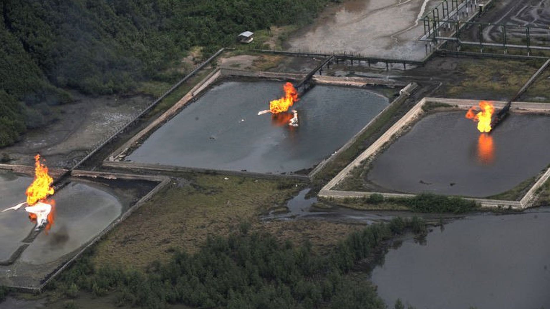 Gas flares at the Shell Cawtharine Channel in the Niger Delta on March 22, 2013.