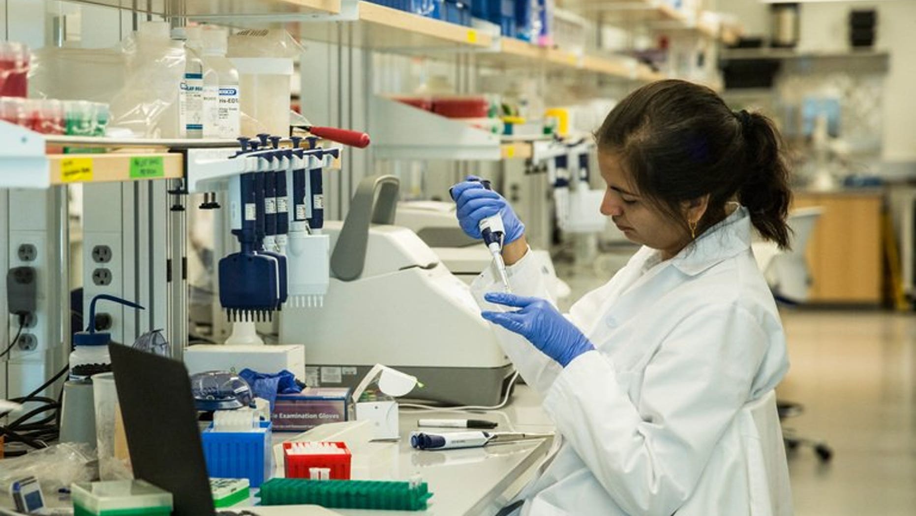 Research technicians prepare DNA samples to be sequenced in the production lab of the New York Genome Center on September 19, 2013. A former prisoner's legal challenge to a police request for him to provide DNA samples was rejected by the High Court in London on Tuesday.
