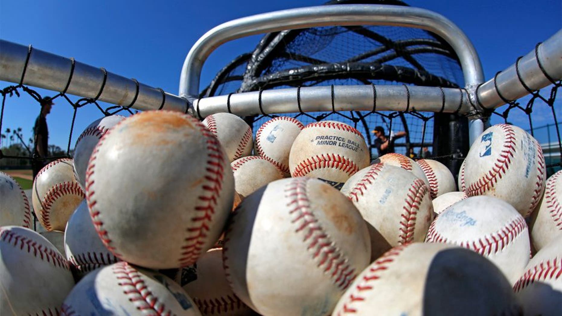 Pittsburgh Pirates minor league players take batting practice during an informal spring training baseball workout in Bradenton, Fla., Monday, Feb. 16, 2015. The first official workout for pitchers and catchers is Thursday, Feb. 19. (AP Photo/Gene J. Puskar)