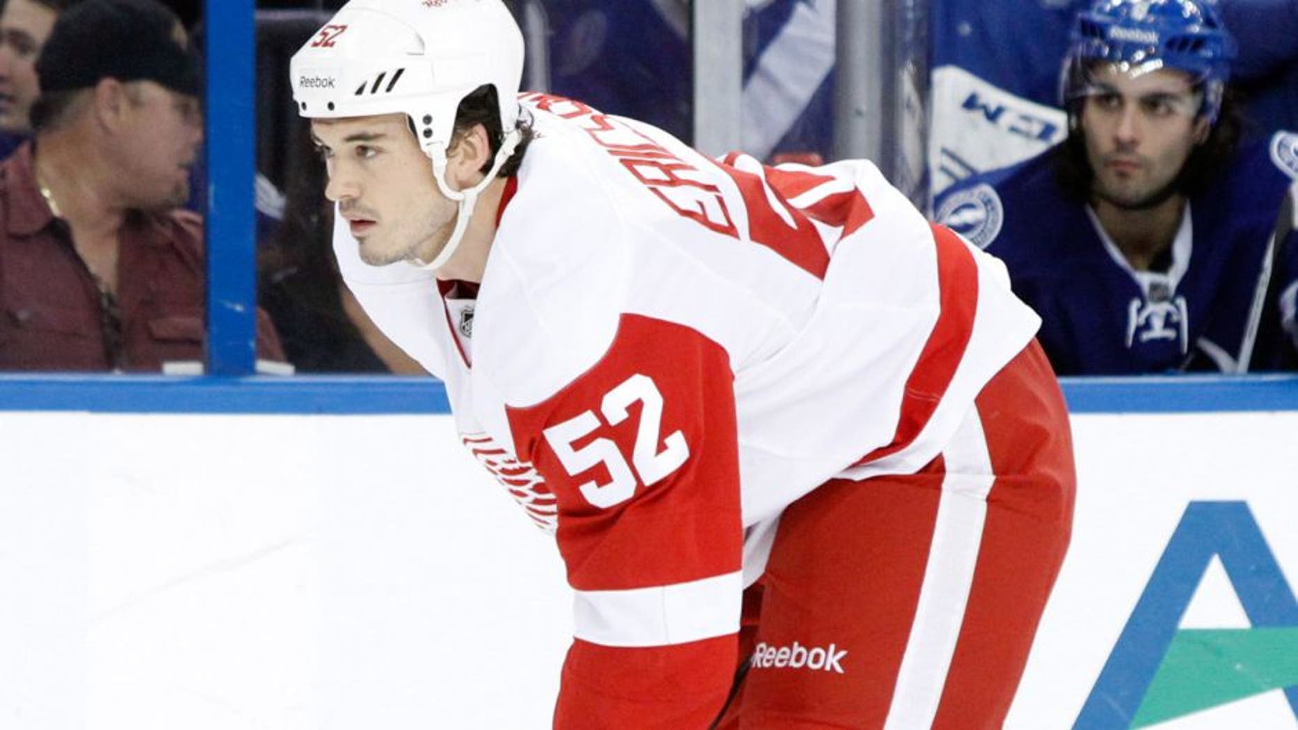 Dec 12, 2013; Tampa, FL, USA; Detroit Red Wings defenseman Jonathan Ericsson (52) against the Tampa Bay Lightning during the first period at Tampa Bay Times Forum. Mandatory Credit: Kim Klement-USA TODAY Sports