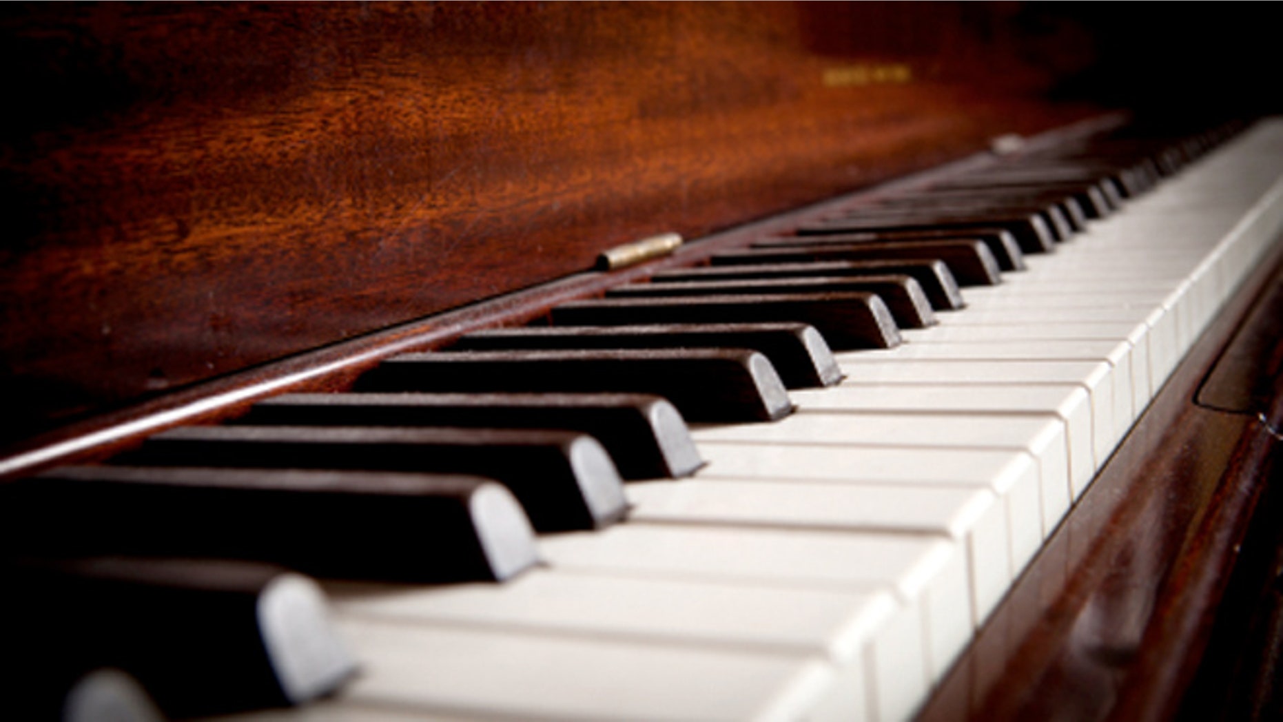 A new system designed to make it easier for orchestras to travel will allow for passports to be issues for instruments made from endangered animals.
