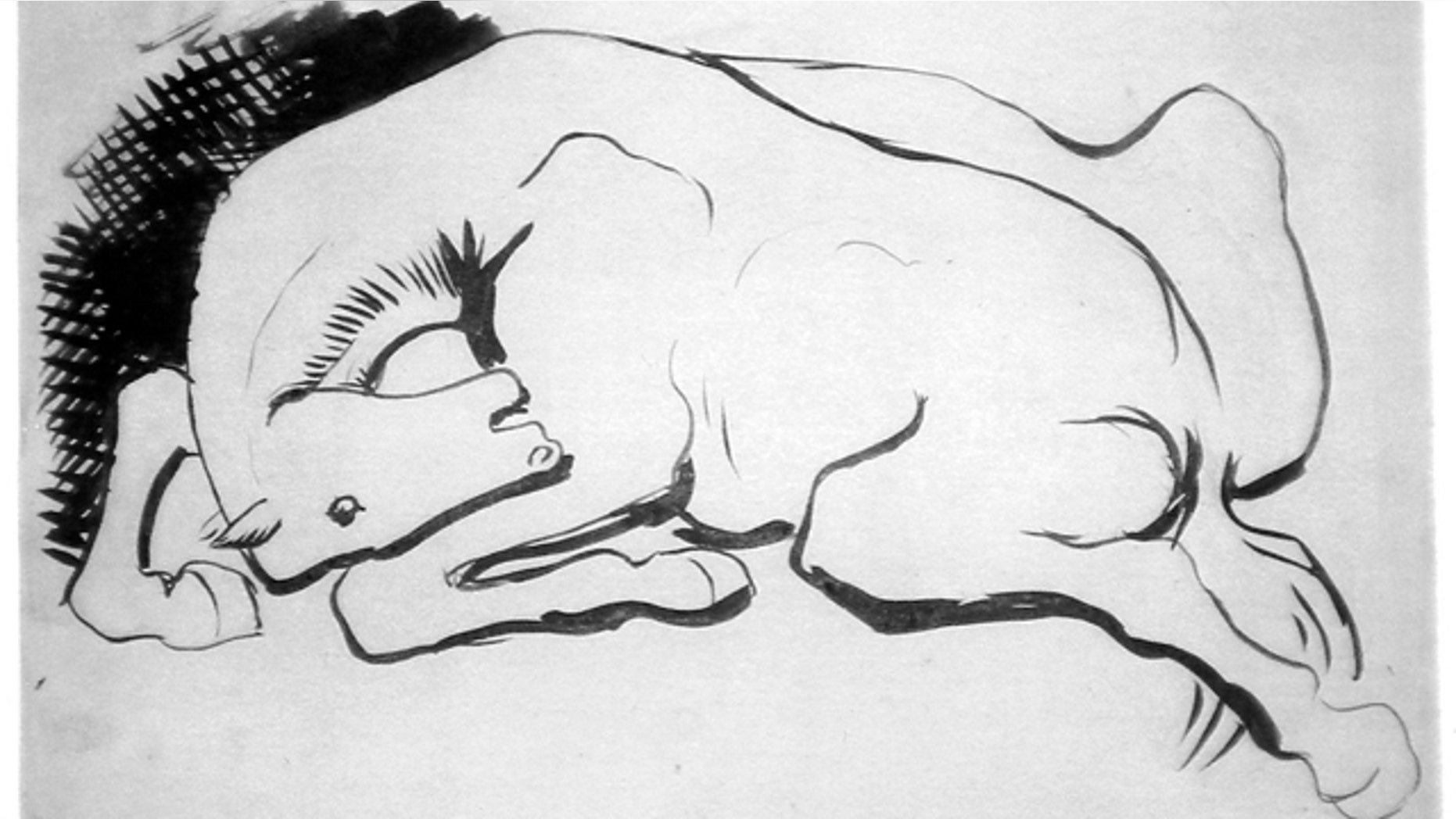 Nov. 29: This photo provided by the Succession Picasso shows a drawing of a horse by Picasso. A retired French electrician and his wife have come forward with 271 undocumented, never-before-seen works by Pablo Picasso estimated to be worth at least $79.35 million, an administrator of the artist's estate said Monday. (AP/Succession Picasso)