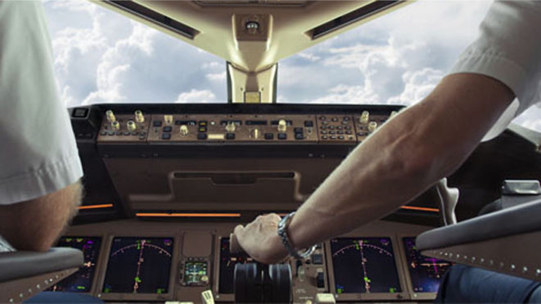 A New York-bound flight was reportedly delayed for more than two hours as the pilot waited for a sandwich to be delivered to him.