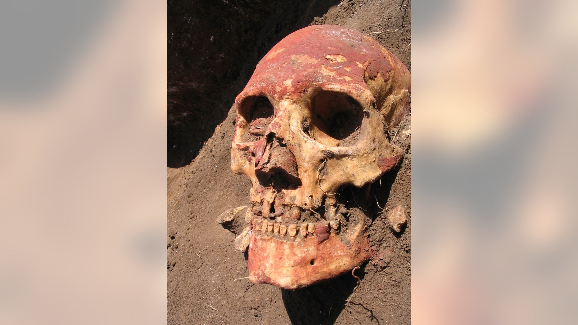 In this undated photo released by Cell journal, a Bronze Age human skull painted with red ochre, from the Yamnaya culture of Central Asia, one of the cultures that carried the early strains of plague. (Simon Rasmussen/Cell 2015 via AP)