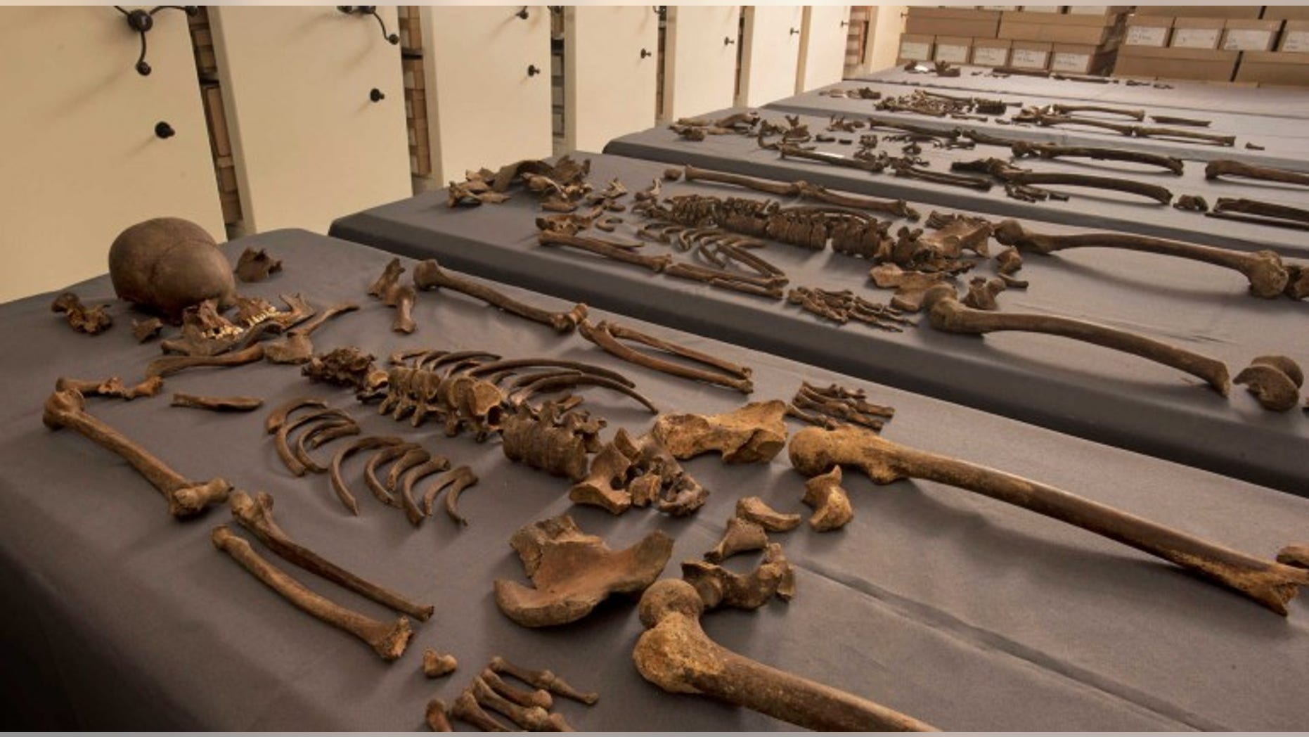 Five skeletons found to contain 1665 Great Plague bacteria (Crossrail).