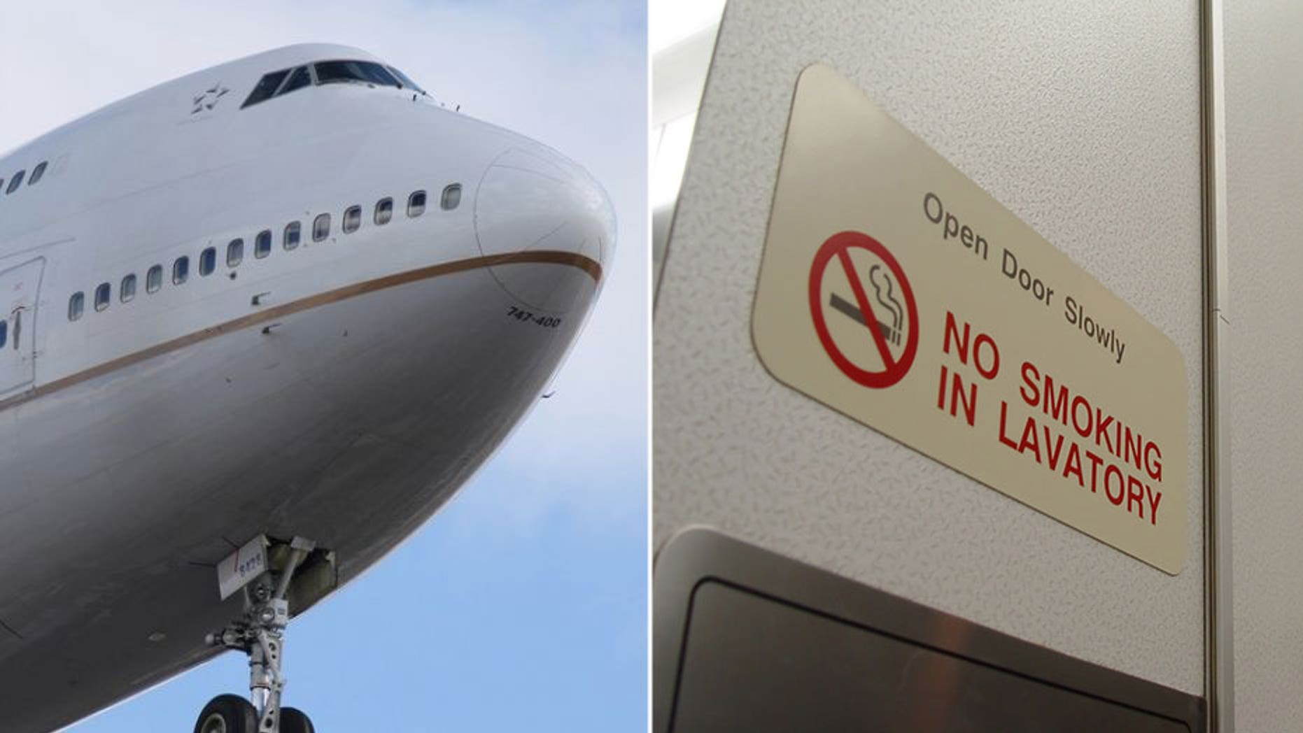 A passenger aboard United Flight 895 smeared excrement in two of the plane's bathrooms, forcing it to divert to Alaska, police say.