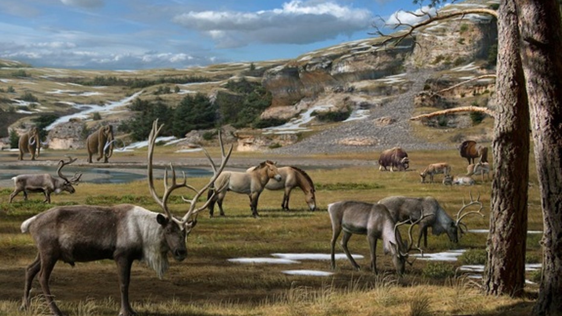 The Arctic had much more diverse flora than previously thought during the Pleistocene Era