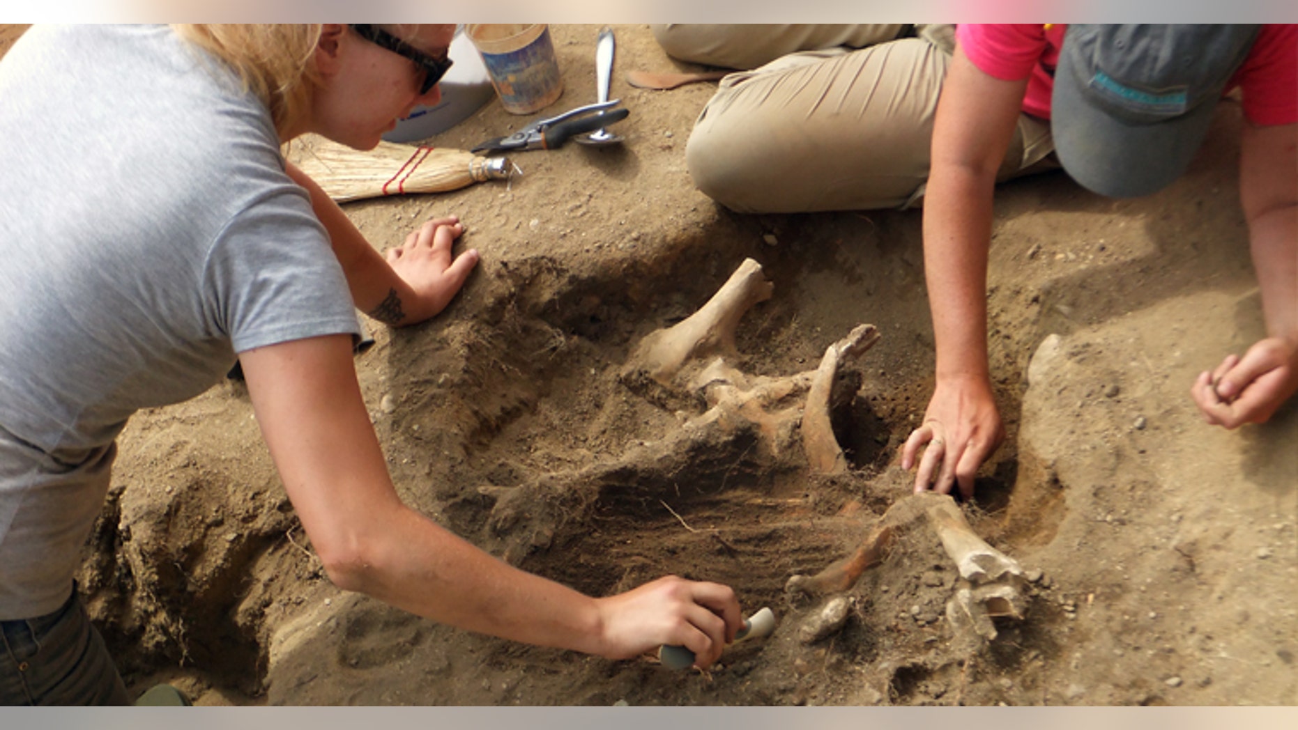 The archaeological dig in Plymouth, Mass. (UMass Boston)