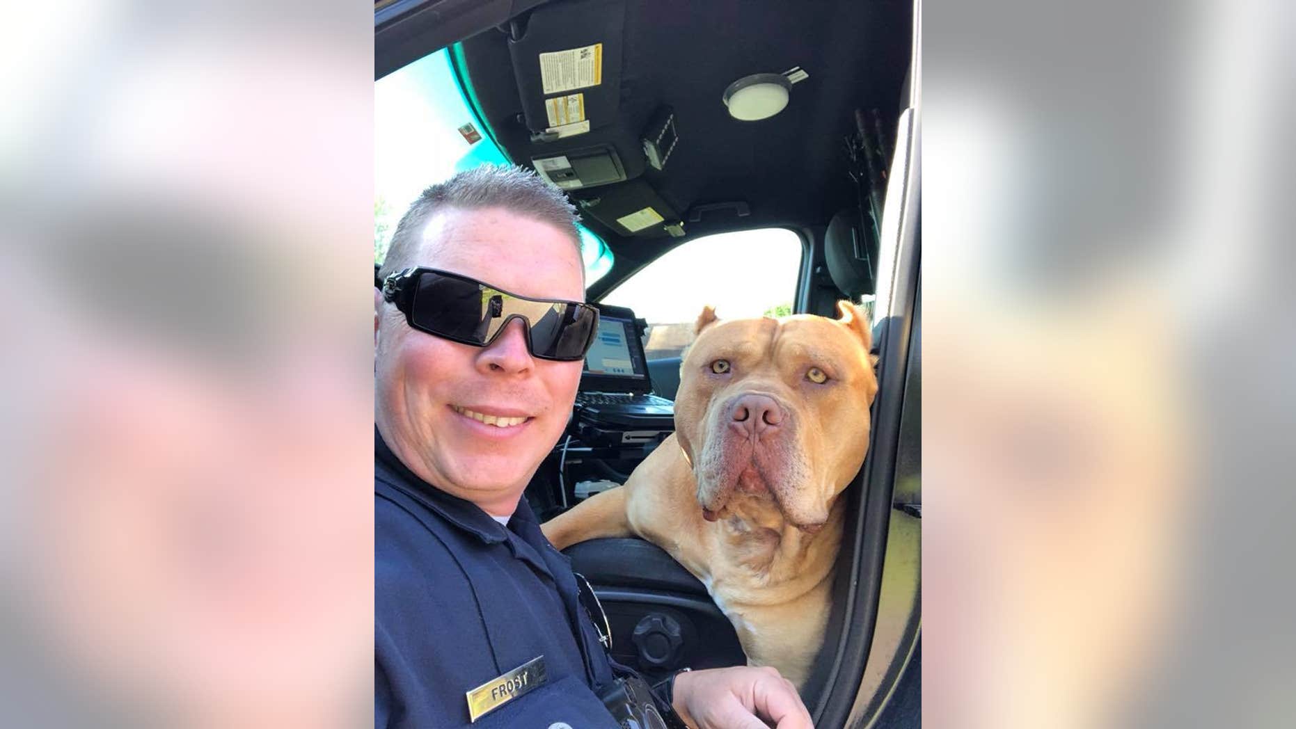 One Texas police department took to Facebook on Sunday, where it described an officer’s encounter with a dog.
