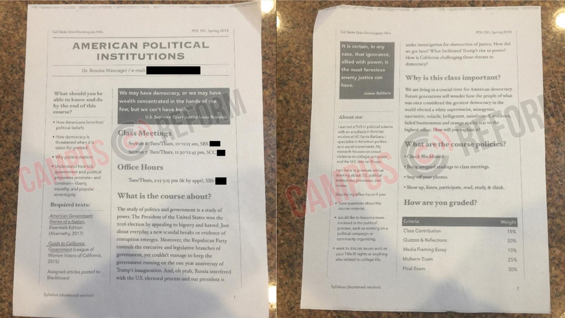 Dr. Brooke Mascagni, a professor at California State University-Dominguez Hills, called President Trump a "white supremacist" in her class syllabus.