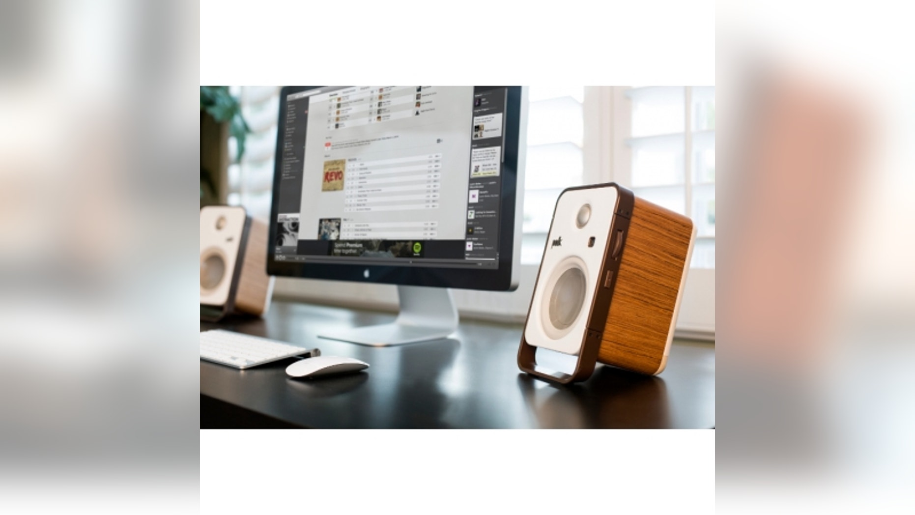 Polk Hampden speakers.
