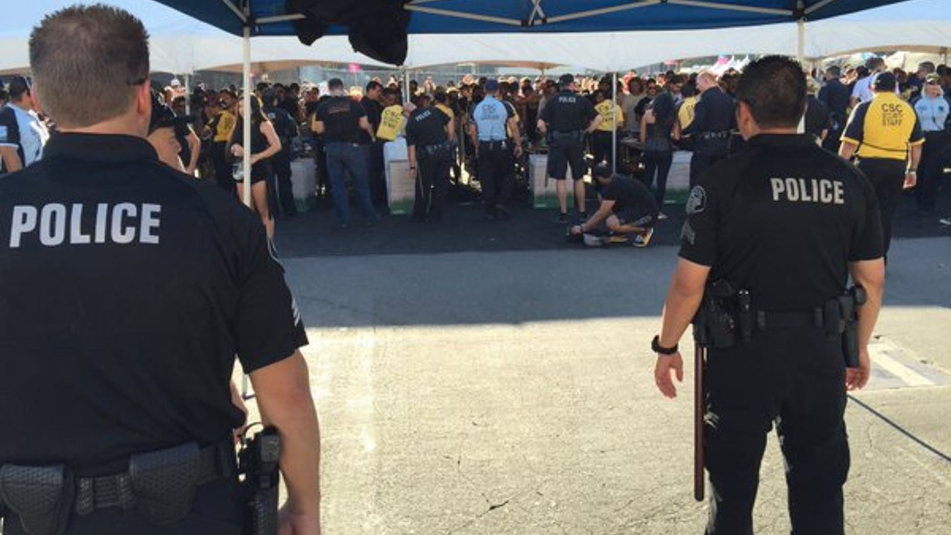 Police made hundreds of arrests at Southern California electronic music festivals over the weekend.