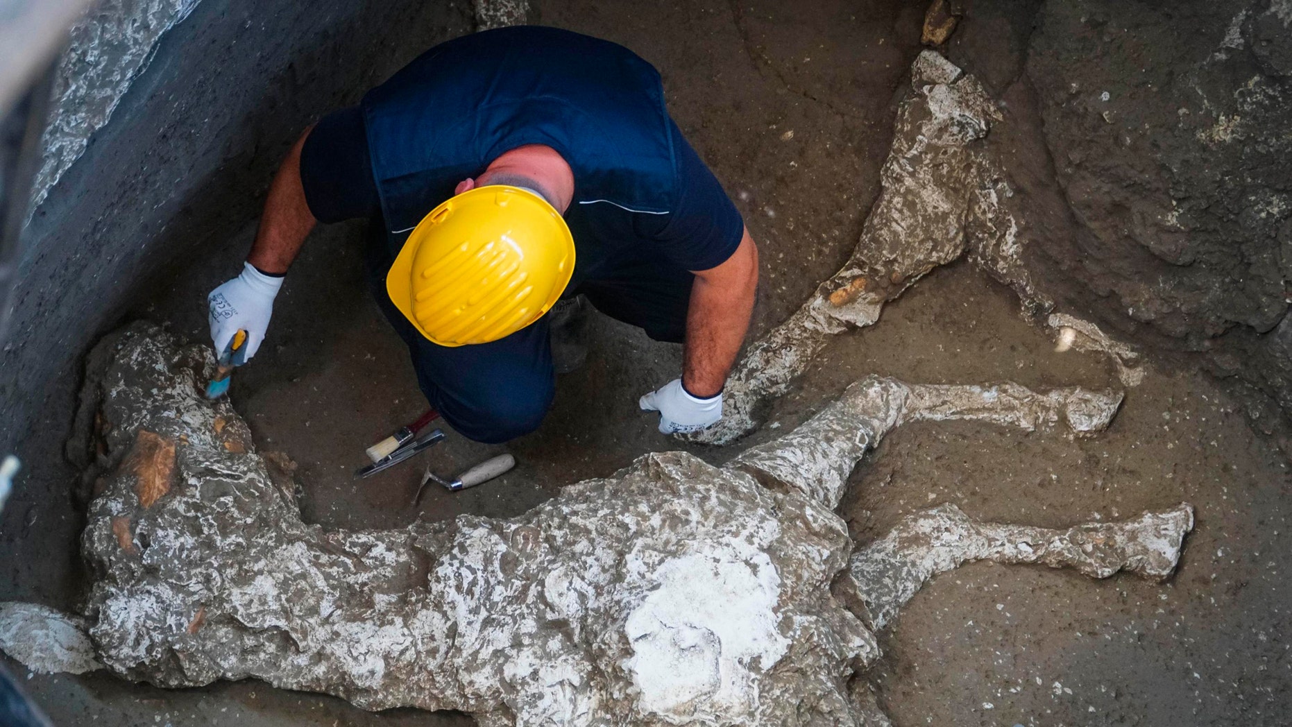Extraordinary Pompeii discovery Racehorse remains found among ancient