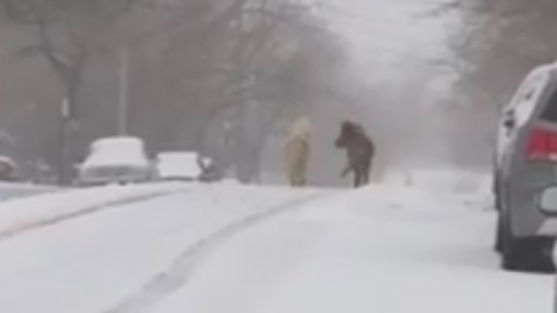 Ponies running in the snow in Staten Island, NY.