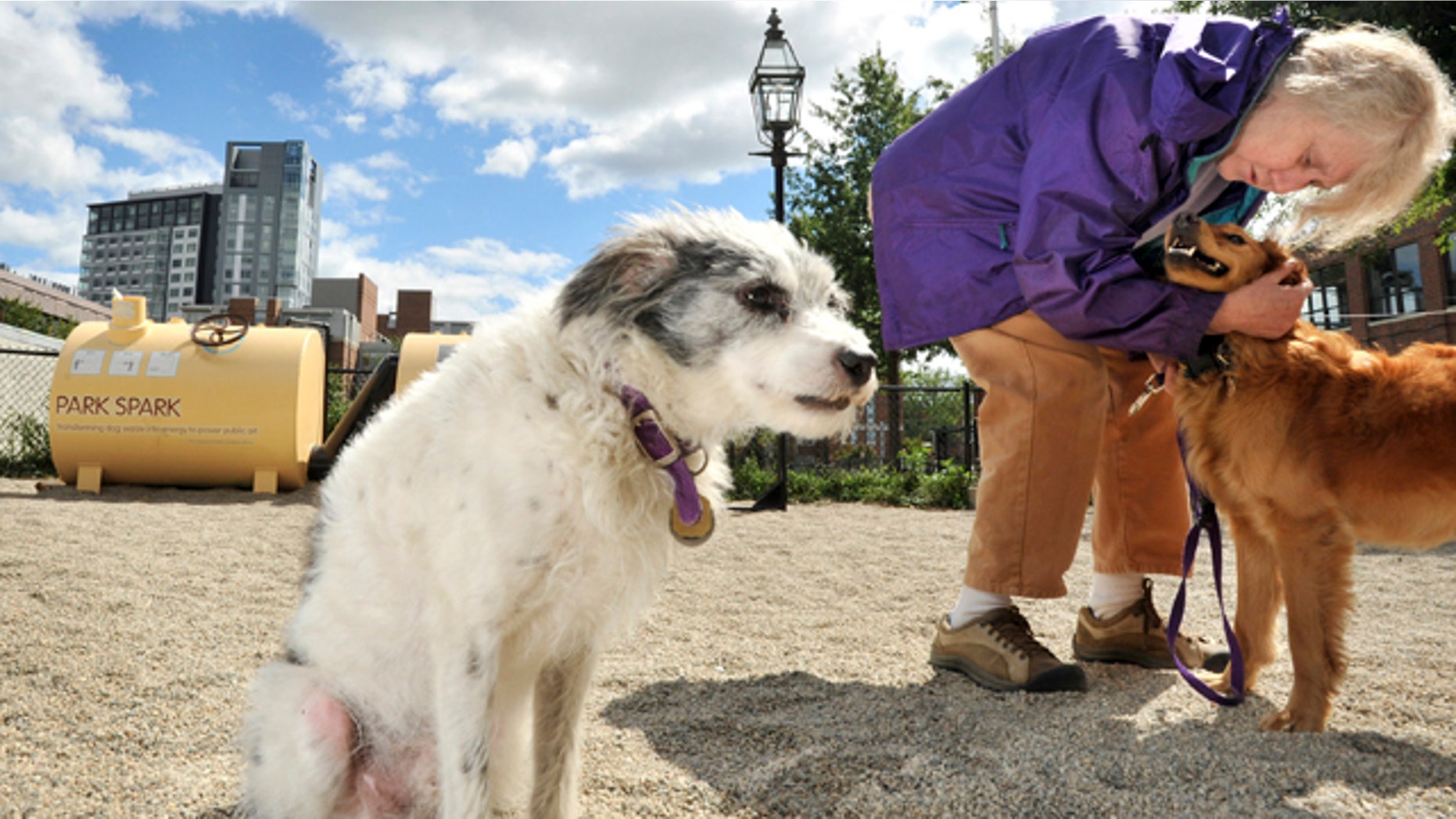 Louisa Solano of Cambridge, Mass., hugs a dog while she and her dog Macedo, left, visit a dog park in Cambridge. Boston artist Matthew Mazzotta devised the "Park Spark," background left, which powers a connected gas light with the methane gas given off by droppings collected at the park.