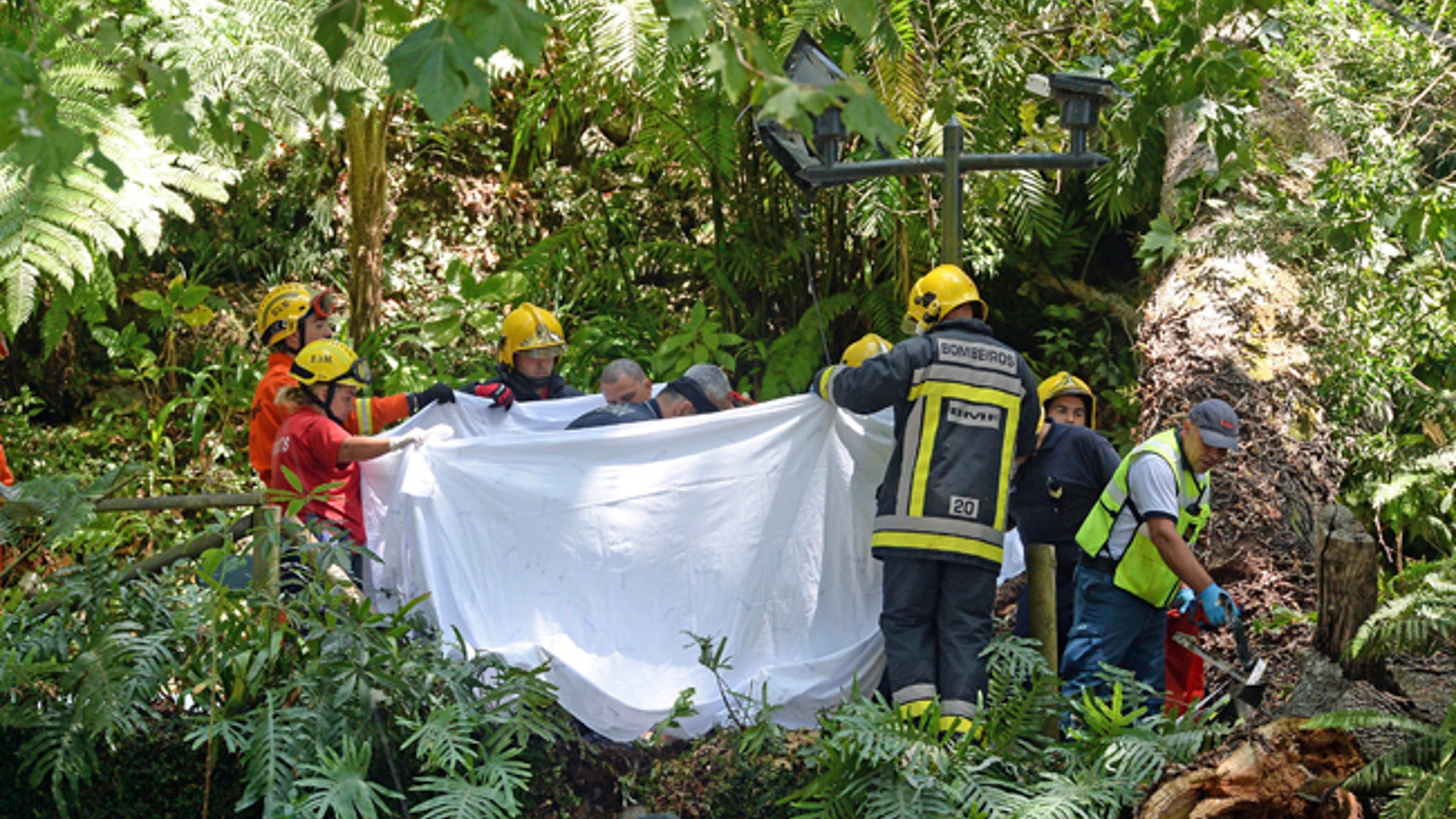 Firefighters hold a blanket as bodies are removed from the scene where a tree fell on a large crowd outside of Funchal, the capital of Madeira island, Portugal.