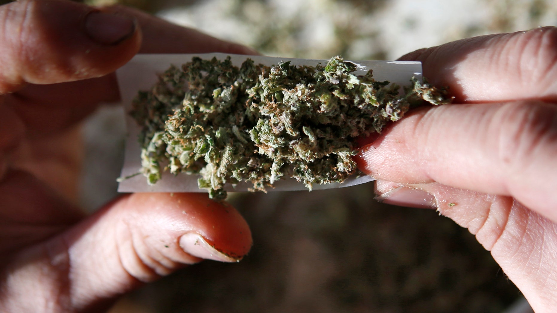 FILE-In this Nov. 21, 2014, file photo, medical marijuana is rolled into a joint in Belfast, Maine. A handful of recreational marijuana legalization drives has the medical pot industry bracing for something it never expected to deal with: competition. (AP Photo/Robert F. Bukaty, file)