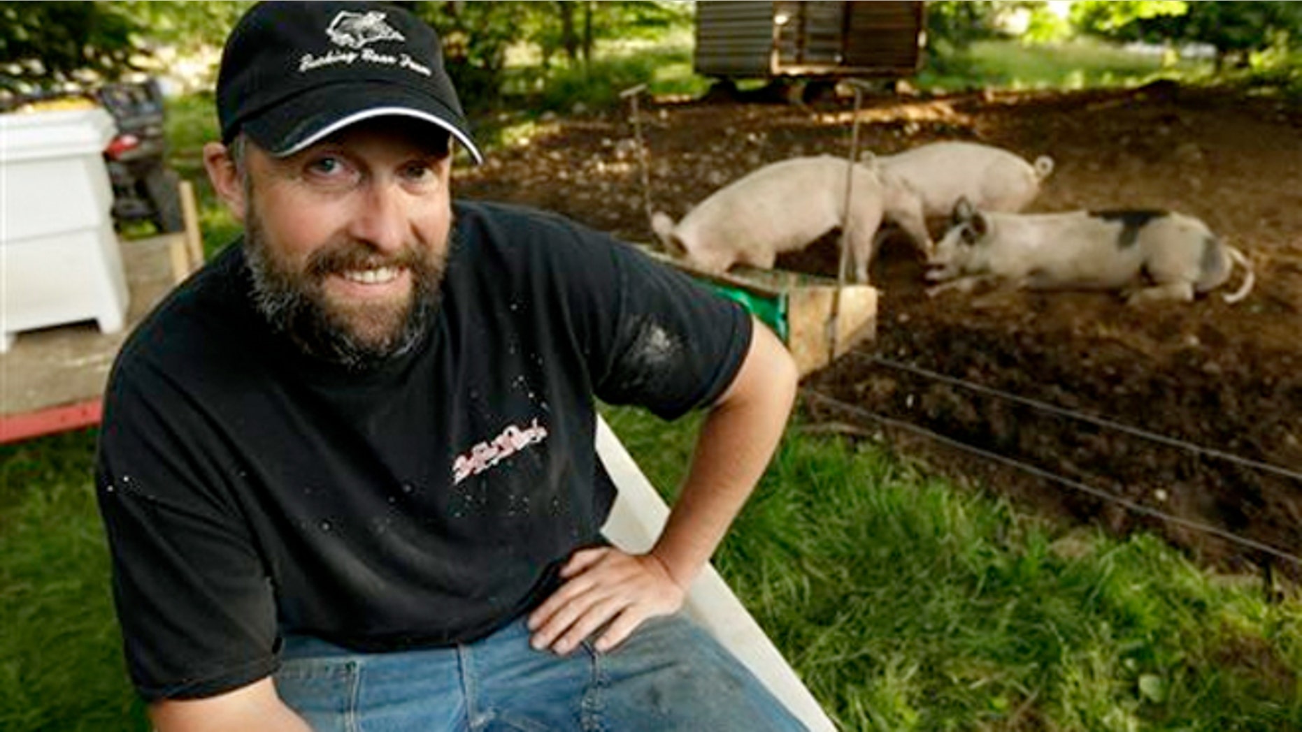 June 18, 2013: Jeremy Gross with the pigs he is raising on his farm in Snohomish, Wash.