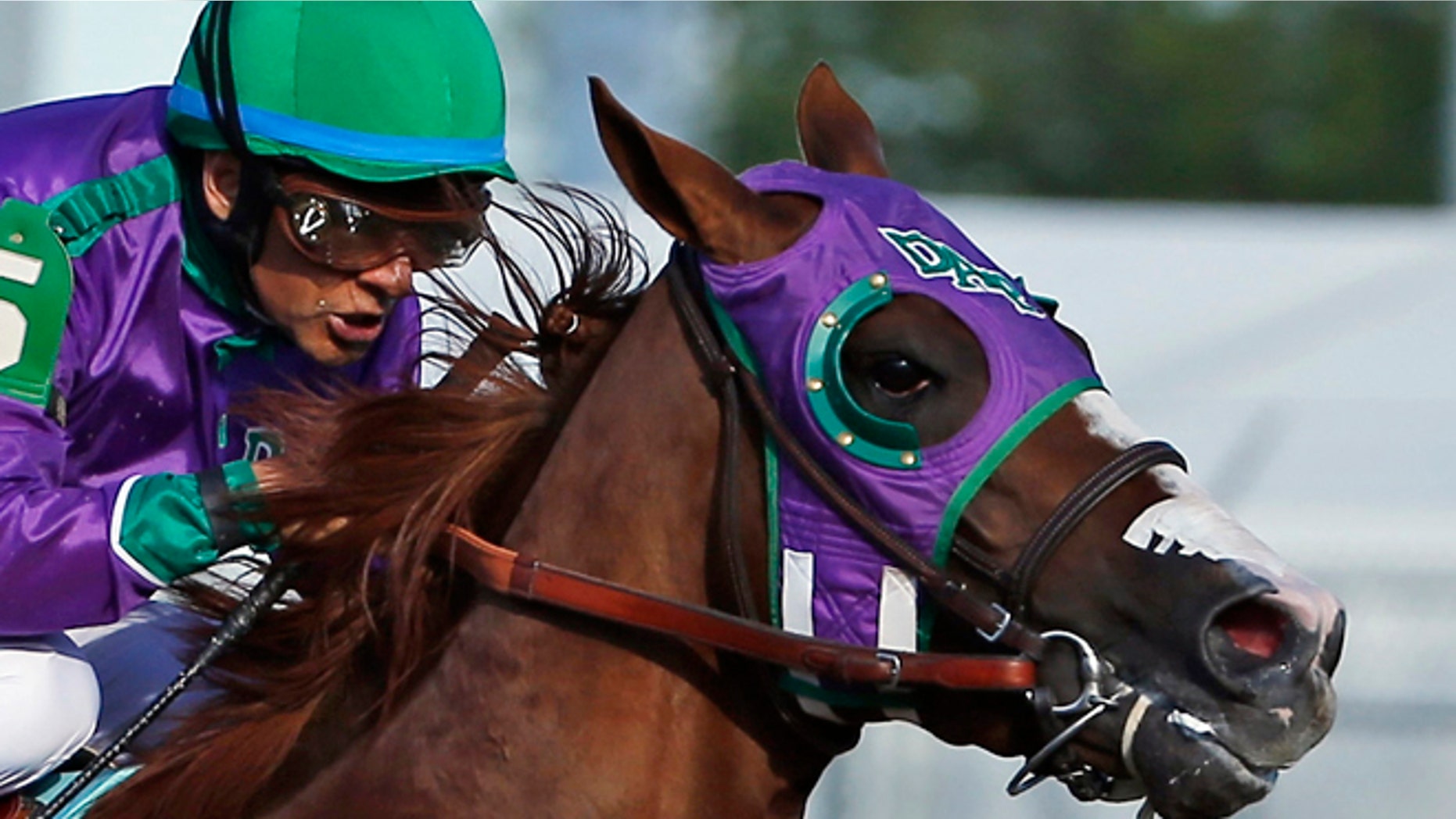 In this May 3, 2014, file photo, jockey Victor Espinoza rides California Chrome to win the 140th running of the Kentucky Derby horse race at Churchill Downs in Louisville, Ky. Chrome might abandon his Triple Crown bid if New York officials do not allow the colt to wear a nasal strip in the Belmont Stakes.