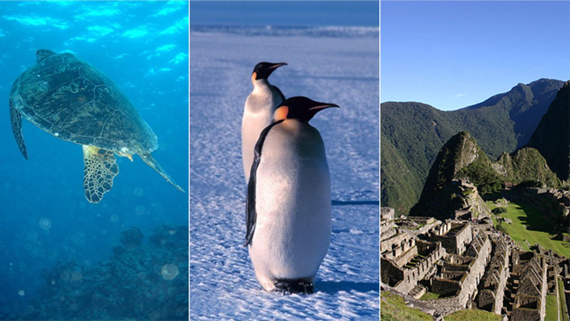 Australia's Great Barrier Reef, the Antarctica and Machu Picchu all suffer from environmental pressures.