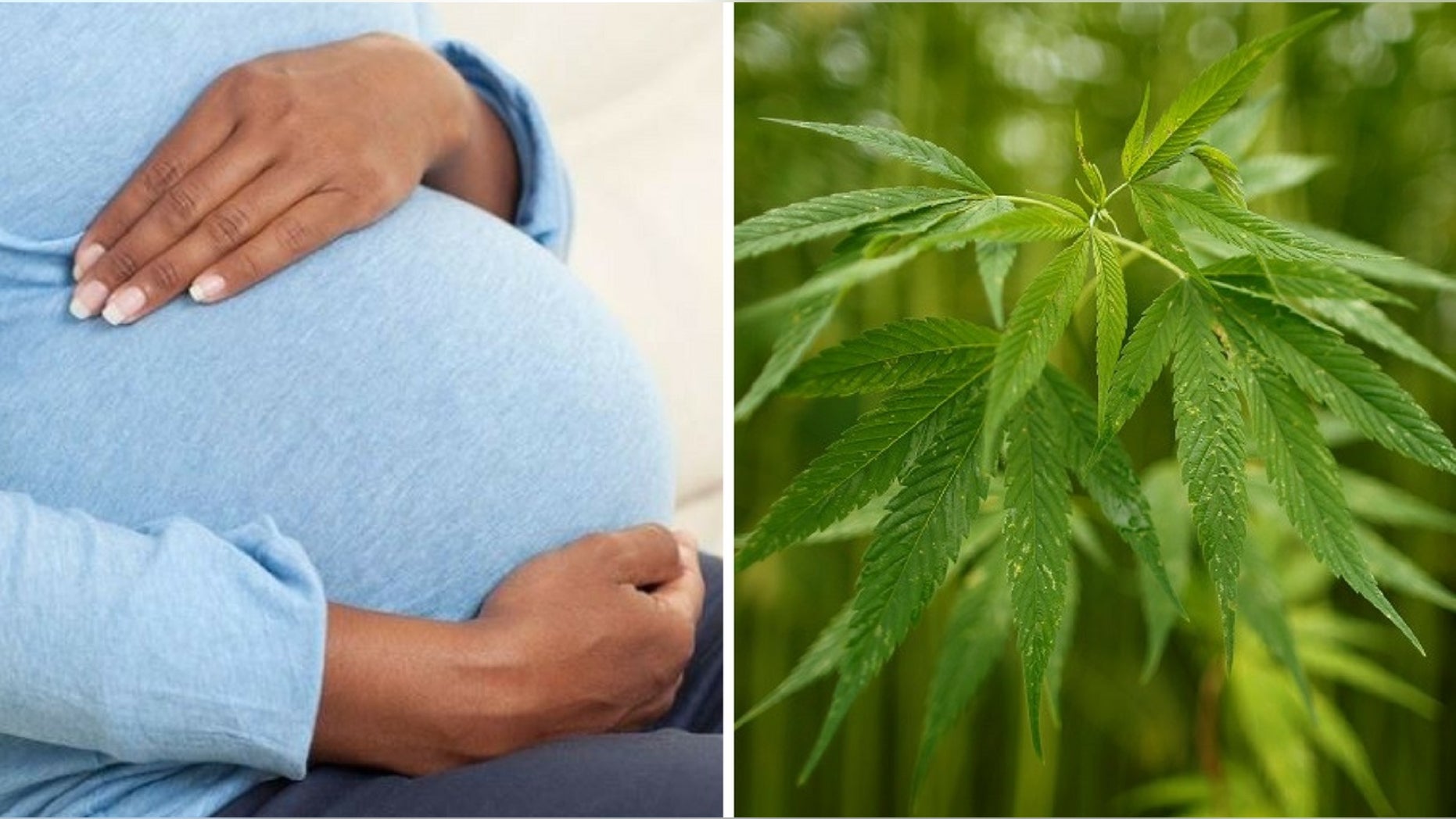 Smoking marijuana was on the rise among pregnant women in California, a study showed.