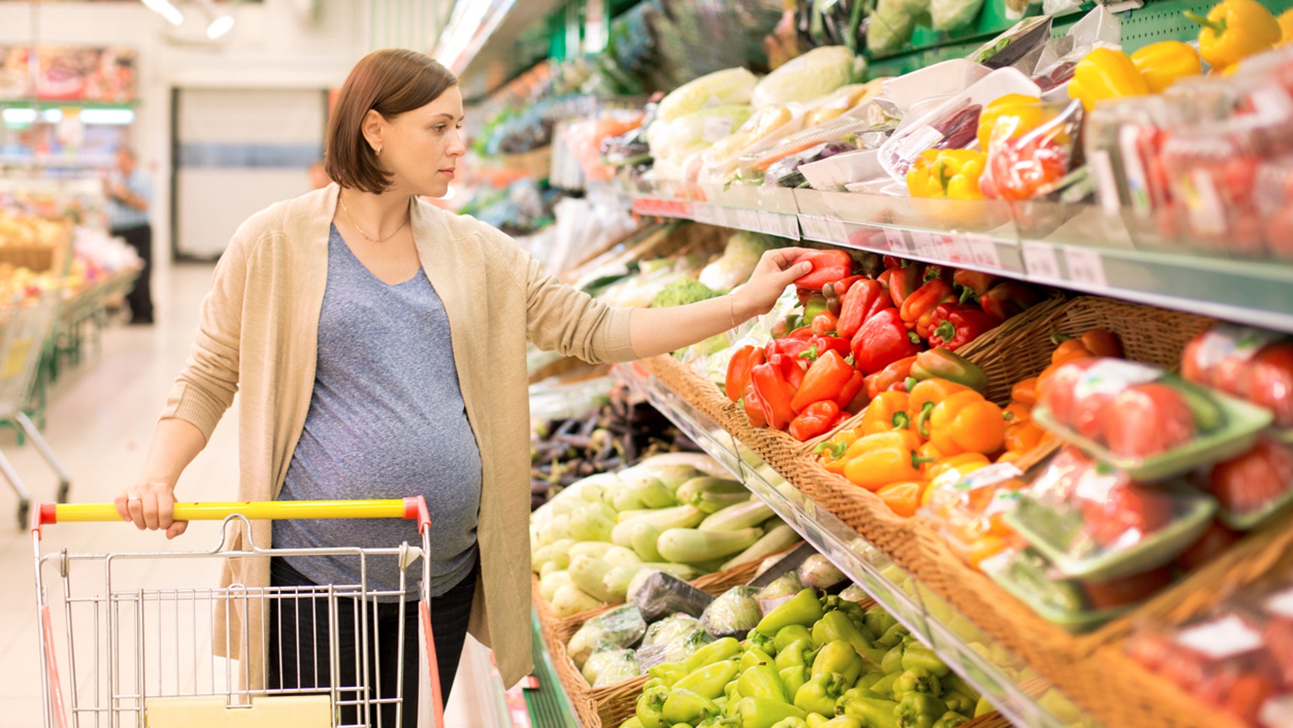 Vegetarian Diet In Pregnancy Invisible Fence Battery Ideas