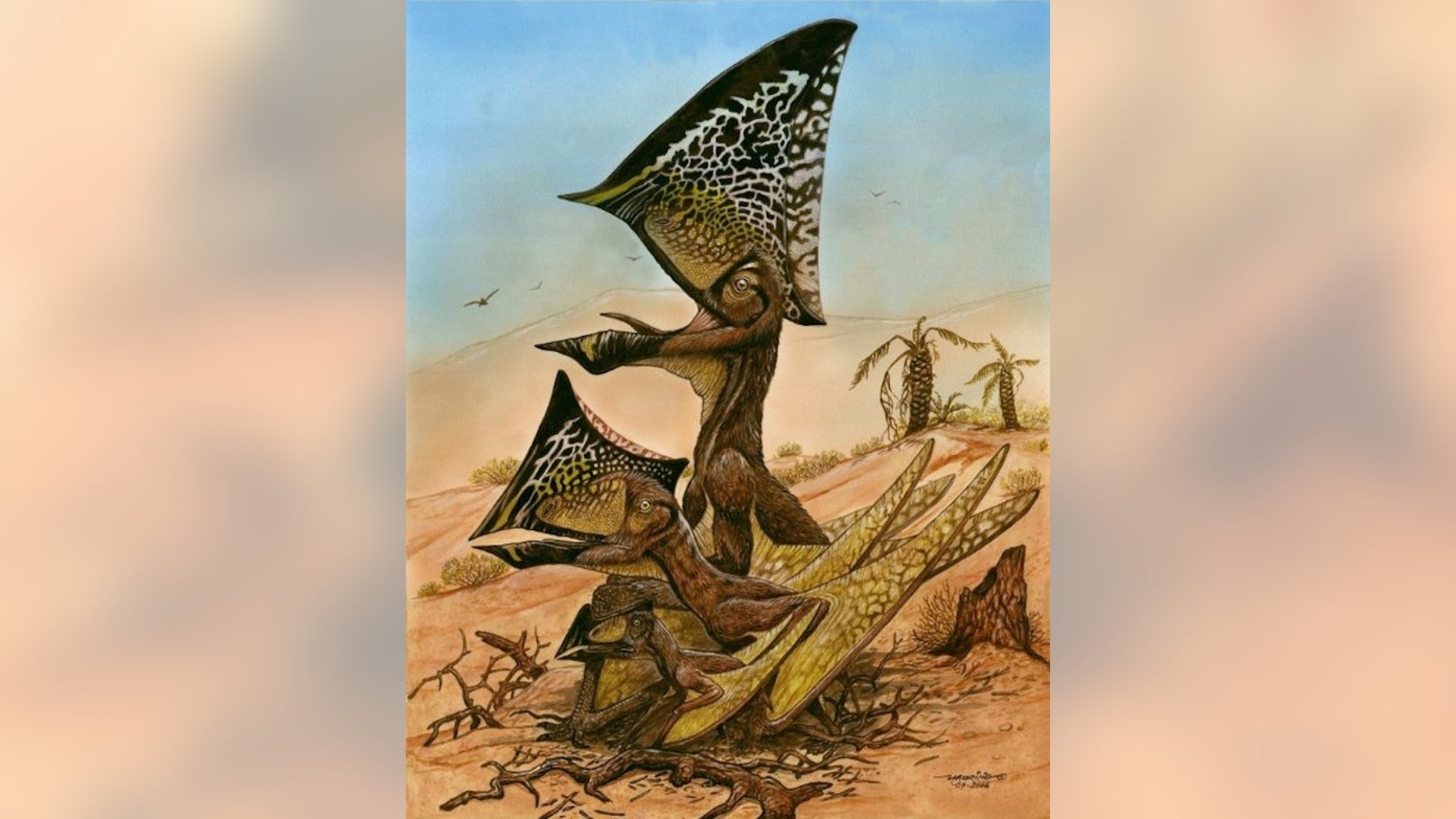 Flock of ancient 'butterfly-headed' flying reptiles discovered | Fox News
