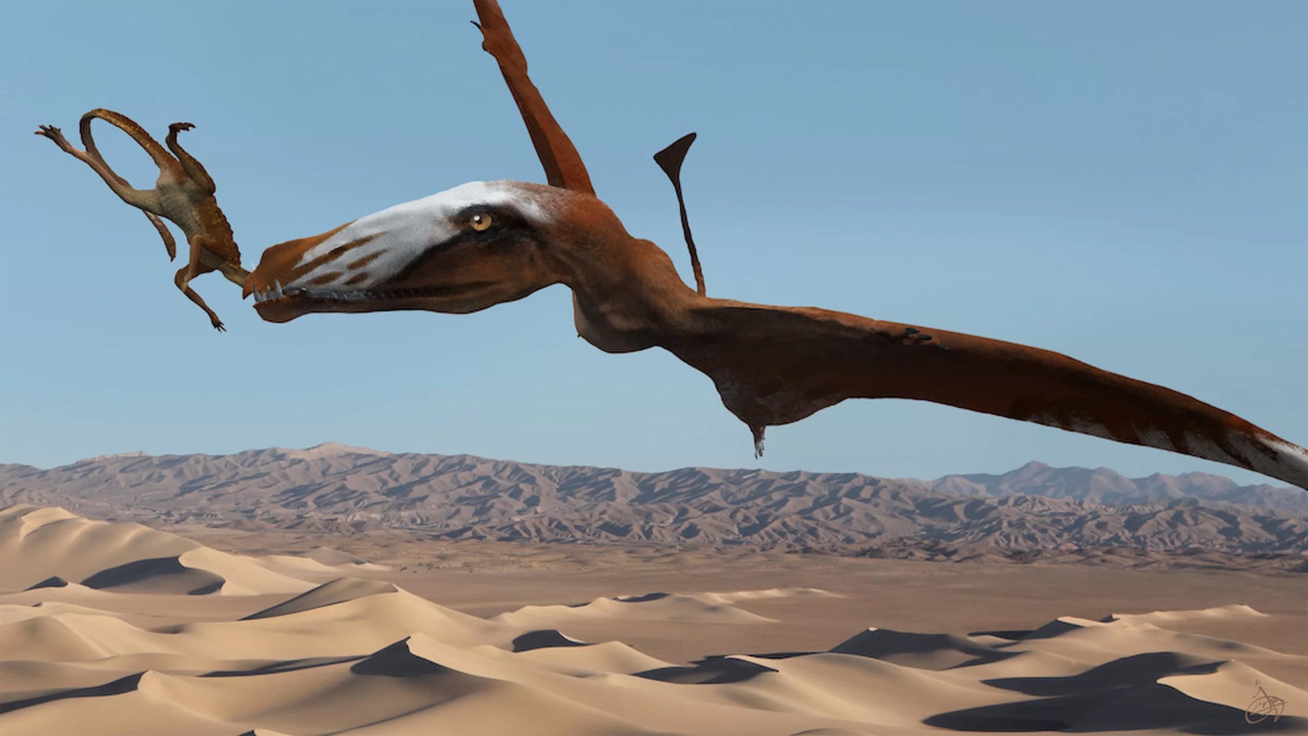 Giant Pterosaur Sported 110 Teeth And 4 Wicked Fangs Fox News 
