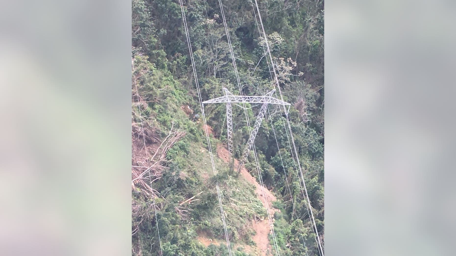 A downed tree caused the widespread power outage in Puerto Rico on Thursday, officials said.