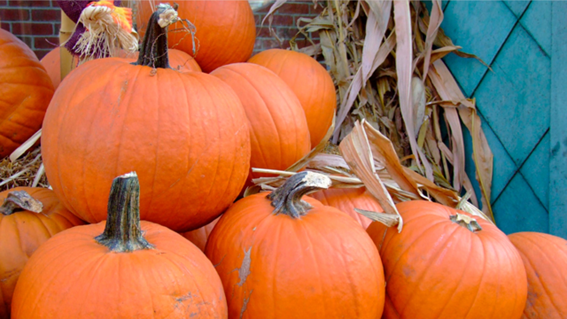 A view of Jack- O'-Lantern pumpkins for sale at a Chicago supermarket October 8, 2007. Pumpkins will be costing more this year as drought and heat this summer resulted in smaller harvests in some key U.S. production areas. Extreme dryness hit much of the northern United States this summer, sapping the harvest in four of the top five pumpkin-producing states: New York, Pennsylvania, Ohio and Illinois. Picture taken October 8, 2007. REUTERS/Michael Hirtzer (UNITED STATES)