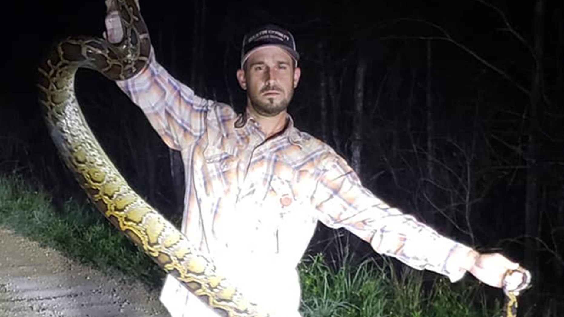 Mike Kimmel holds up 10-foot python he removed from the body of an alligator in Florida.