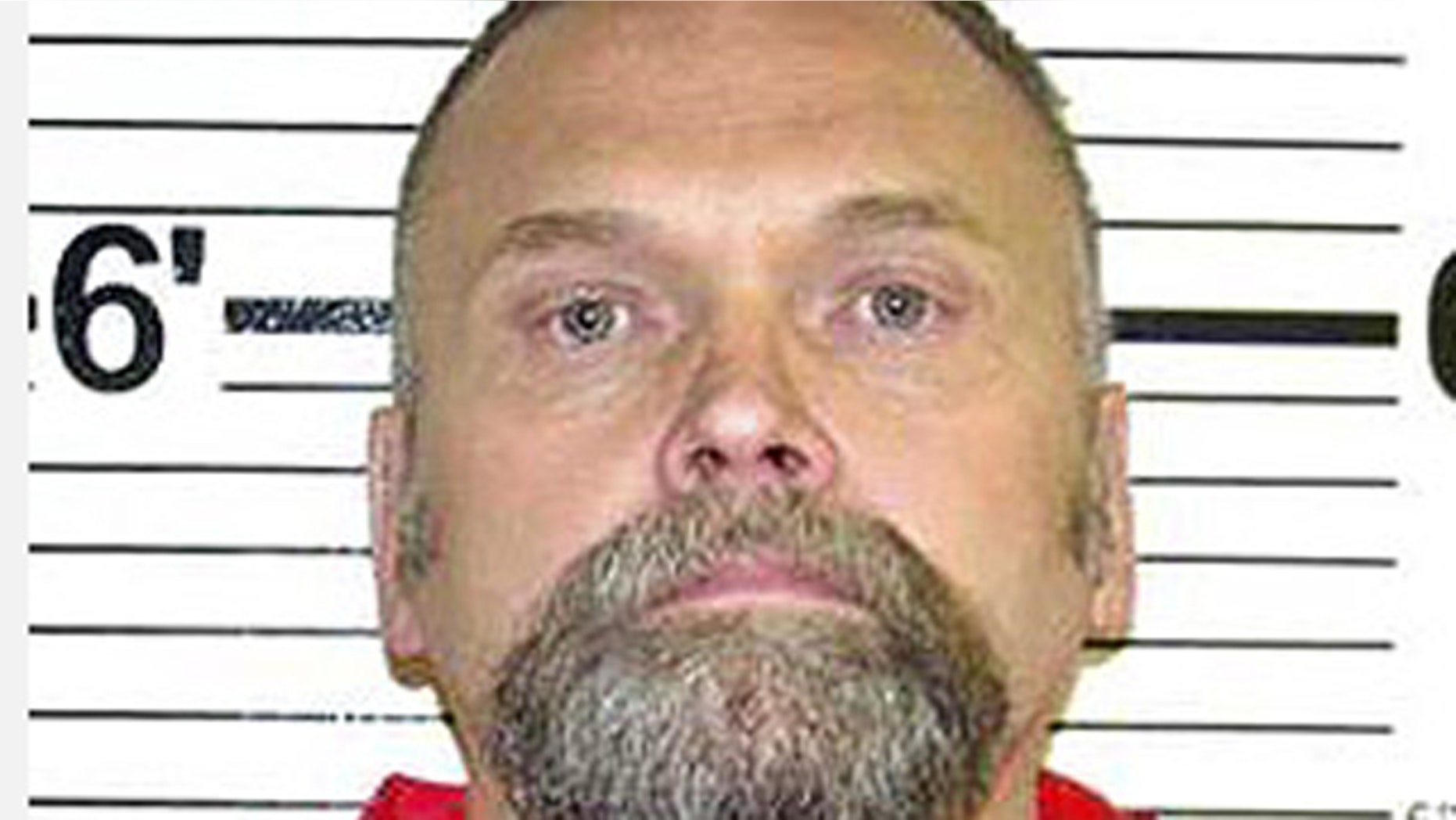If a parole board determines that Craig Lemke, who tied an elderly couple together after he broke into their home in 2006, is no longer a threat to public safety, he would be released, the Los Angeles Times reported.