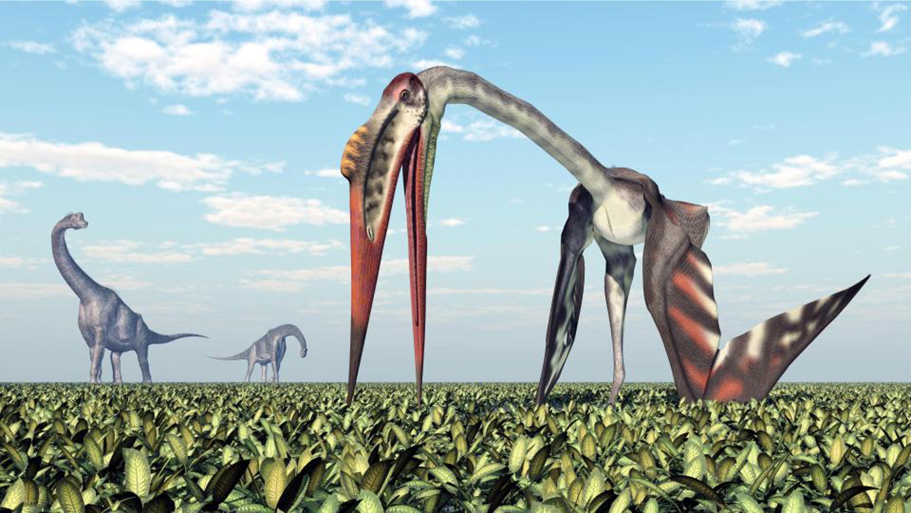 Artist's impression of Quetzalcoatlus (iStock)