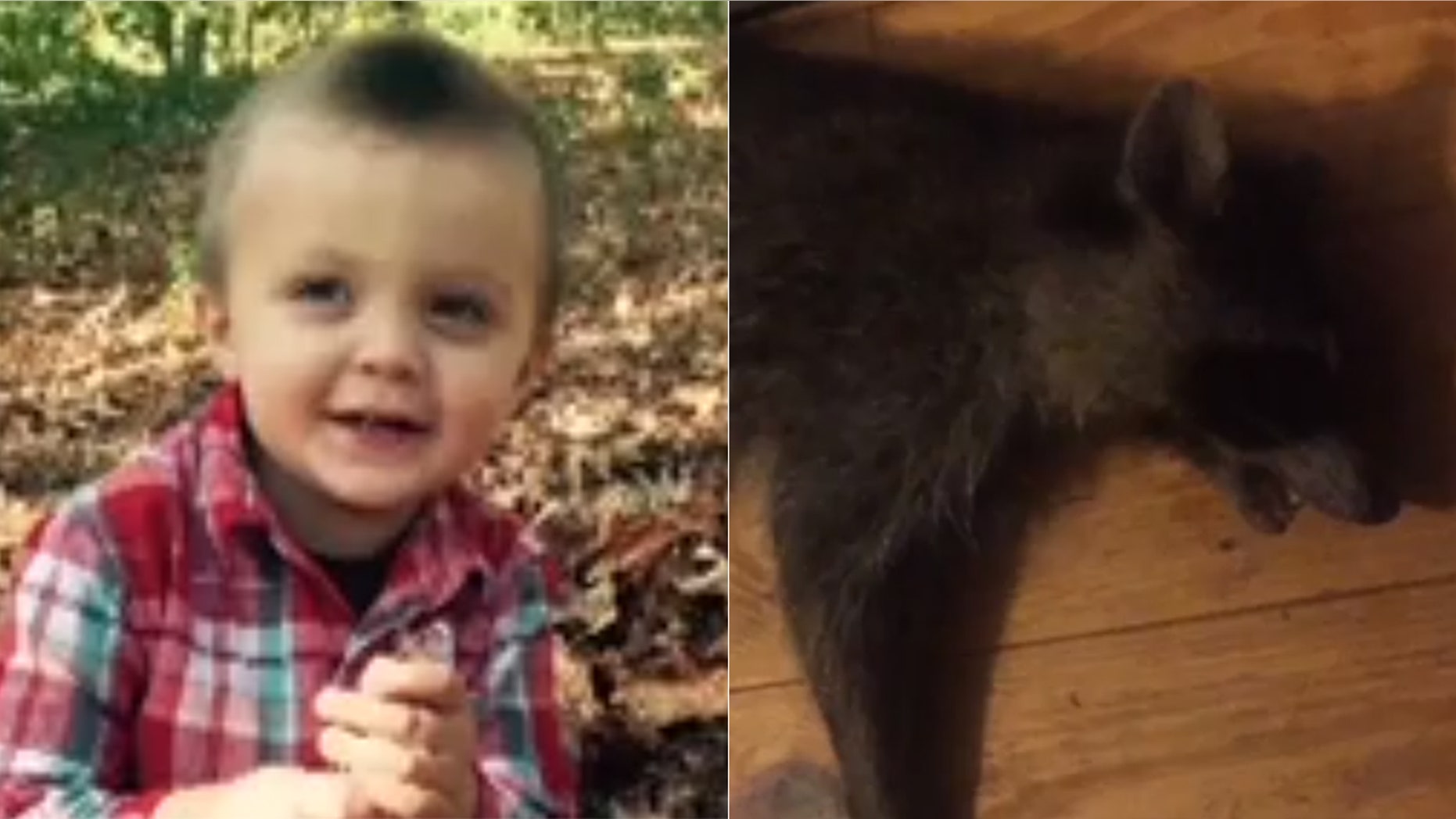 Chandler Mahaffey's mom said she heard her son screaming on the porch and found him being held by the rabid animal.